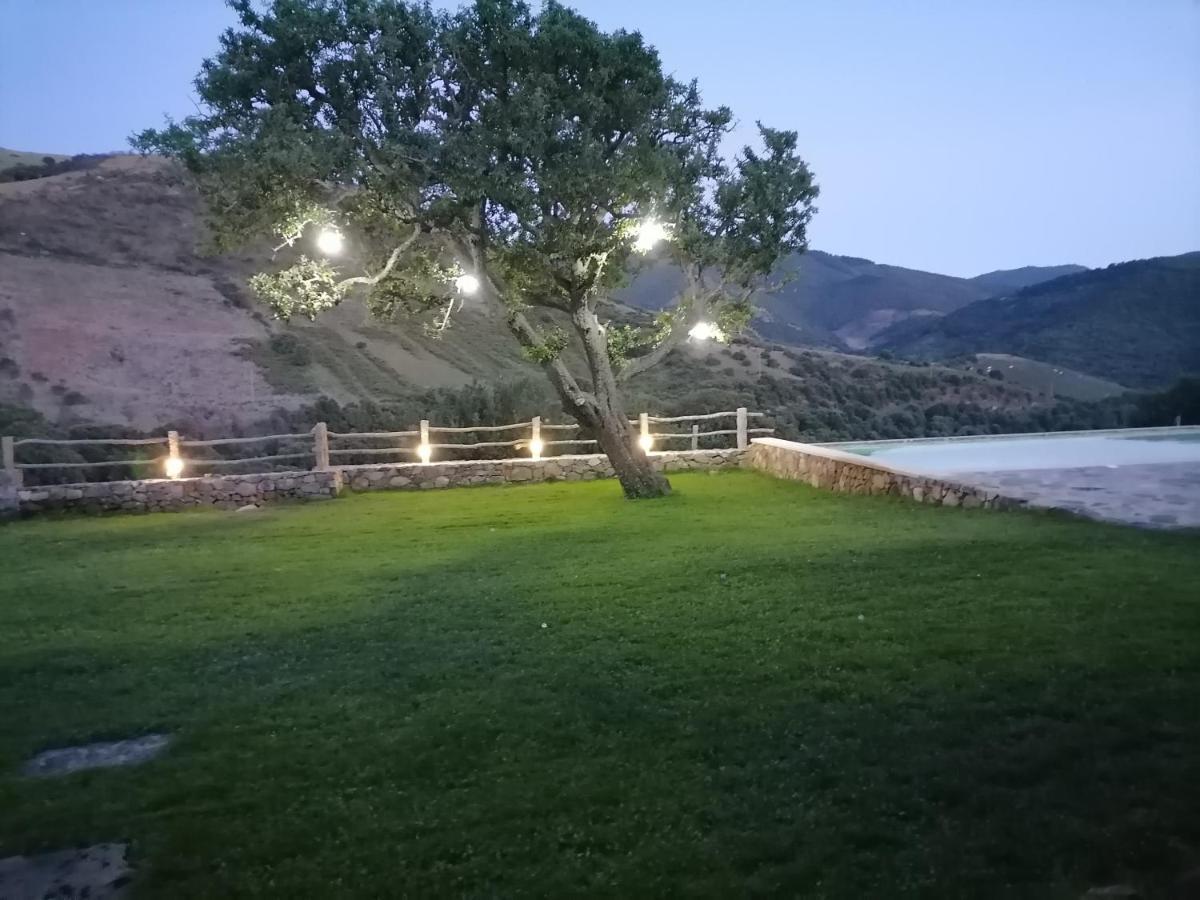 Villa Stazzu Coiga Aggius Exterior foto